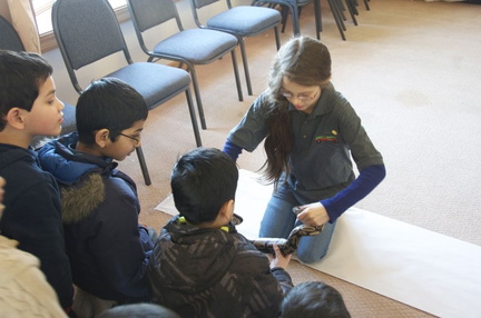 science-fair-2014-08