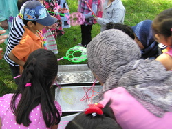 SundaySchoolPicnic-2010-017