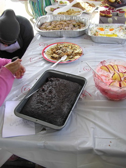 SundaySchoolPicnic-2010-077