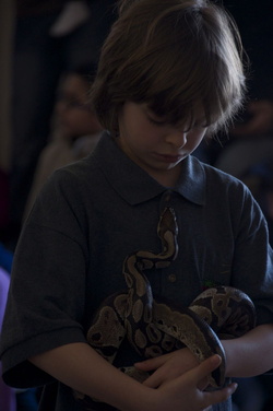 science-fair-2014-40