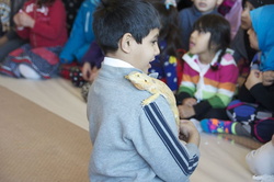 science-fair-2014-54