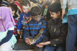 science-fair-2014-65