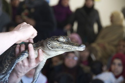 science-fair-2014-94