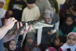 science-fair-2014-95