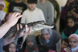 science-fair-2014-96